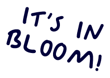 It’s in bloom!@2x